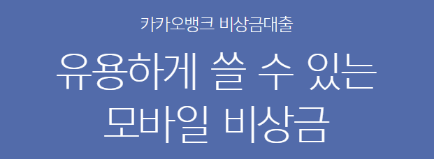 모바일 소액 대출 3: 카카오뱅크 비상금 대출