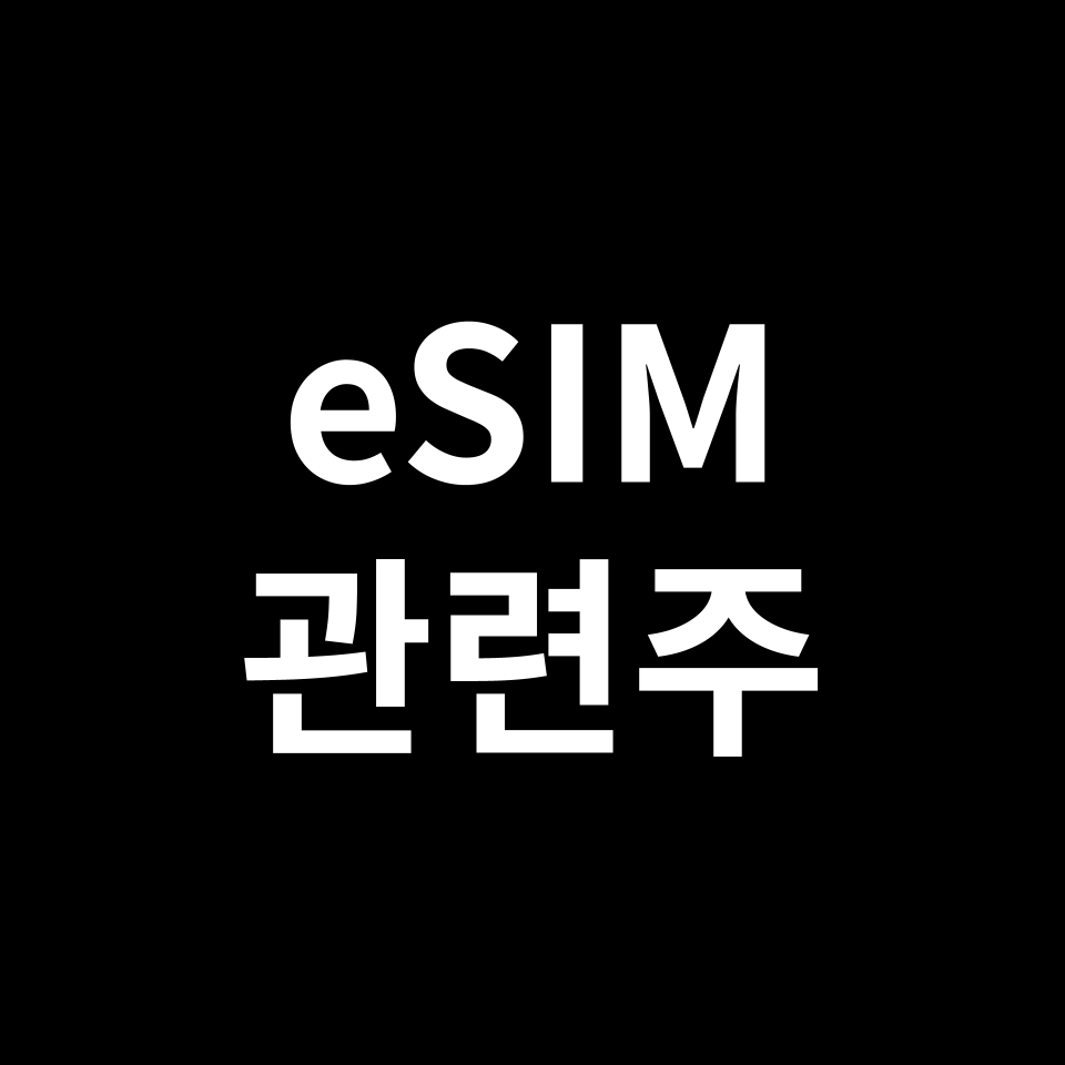 eSIM 관련주 대장주 TOP5 | 이심,국내, 미국, 해외, ETF 등