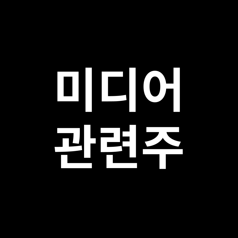 미디어 관련주 대장주 TOP5 | 국내, 미국, 해외, 테마주, ETF 등